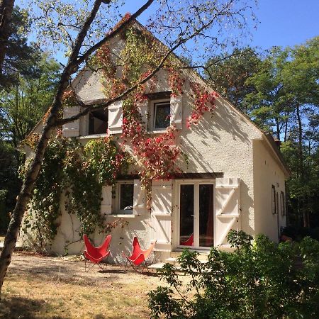 Chambres Au Coeur Du Massif Des Trois Pignons Noisy-sur-Ecole Bagian luar foto