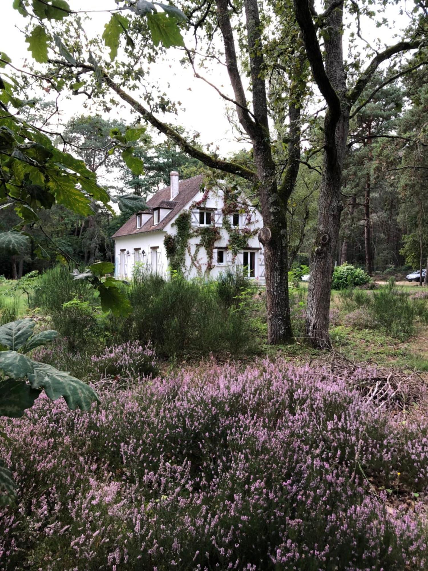 Chambres Au Coeur Du Massif Des Trois Pignons Noisy-sur-Ecole Bagian luar foto